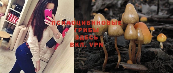 MESCALINE Алексеевка